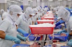 Cá tra Việt Nam đã "rã đông" tại thị trường châu Âu, nước nào mua nhiều nhất?
