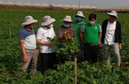 Căng thẳng cuộc chiến giá phân bón trong nước (bài 2): Doanh nghiệp tiết lộ bí quyết giảm chi phí