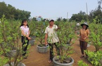 Quảng Nam: Vốn tín dụng chính sách - “Bệ phóng” cho người dân Hội An đổi đời
