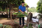 Bắc Ninh: Hội Nông dân Gia Bình triển khai linh hoạt nhiều giải pháp, cùng nông dân thích ứng với đại dịch