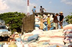 Dựa vào đâu Hiệp hội Sắn Việt Nam kiến nghị dừng công văn của Tổng cục Thuế?