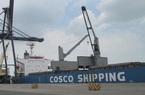 20 container hạt điều Việt Nam sắp cập cảng Italia, thông tin mới nhất do Thương vụ cung cấp