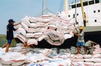 Giá gạo xuất khẩu đang tăng lên nhưng vẫn chưa bù đủ chi phí