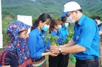 Thừa Thiên Huế: Trao tặng 70.000 cây xanh cho huyện A Lưới 