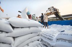 Philippines sẽ nhập khẩu gần 3 triệu tấn gạo, cơ hội cực lớn cho gạo Việt