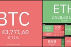 Giá Bitcoin hôm nay 3/3: Bitcoin giảm nhẹ, thị trường giao dịch ổn định