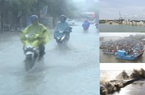 Quảng Ngãi:
Chủ tịch tỉnh chỉ đạo khẩn đối phó đợt mưa to, sóng dữ

