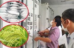 Chuyện lạ ở Cần Thơ: Nơi đang "đông lạnh" 3.000 giống lúa thuở xa xưa