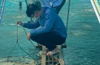 Bắt con gì cuối vụ bán giá cao, nông dân ở đây trúng đậm?