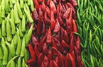 5 doanh nghiệp Việt Nam được chấp thuận xuất khẩu ớt tươi sang Trung Quốc