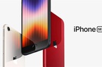iPhone SE 2022 đã có giá dự kiến và thời gian lên kệ tại Việt Nam