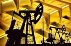 Mỹ chính thức cấm dầu Nga khiến giá dầu phá kỷ lục 14 năm, cảnh báo chạm mức 300 USD/thùng