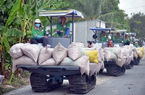 Đón thời cơ tăng trưởng xuất khẩu gạo
