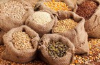 Nguồn cung ngũ cốc khan hiếm, giá cả dựng đứng vì thiếu phân bón