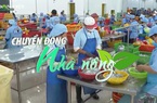 Chuyển động Nhà nông 13/4: Xuất khẩu thủy sản sang Mỹ tăng mạnh