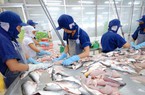 Navico (ANV) rót 200 tỷ đồng thành lập công ty chế biến thức ăn thủy sản