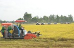 Lợi nhuận quý 1 đạt 184 tỷ đồng, Lộc Trời “bật mí” về bảo hiểm nông nghiệp đầu tiên tại Việt Nam