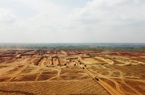 Tiến độ bàn giao mặt bằng dự án sân bay Long Thành vẫn chậm
