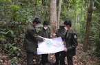 Điện Biên: Cần đẩy nhanh tiến độ giao đất, giao rừng