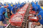 Một loài cá của Việt Nam đắt hàng ở Mỹ, Trung Quốc, hàng loạt mã chứng khoán ngành thủy sản bật tăng