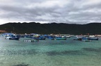 Khánh Hòa: Các doanh nghiệp du lịch không tổ chức hoạt động du lịch ở đảo Bình Ba, Bình Hưng