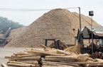 Quảng Ngãi:
Tạm dừng cấp phép dự án đầu tư chế biến dăm gỗ
