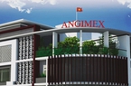 Angimex (AGM) báo lãi gấp 4 lần trong quý đầu năm