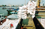 Gạo Việt Nam xuất khẩu sang các nước Bắc Âu có giá kỷ lục 740 USD/tấn