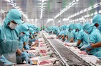 Tăng sức bật cho thủy sản Việt Nam vào EU