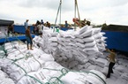 Thị trường giao dịch gạo tiếp tục trầm lắng đến bao giờ?