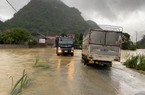 Lạng Sơn: Mưa lớn gây ngập 1.507ha lúa và hoa màu