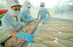 Canada là nước nhập khẩu cá tra lớn thứ 2 của Việt Nam trong khối CPTPP