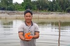 Nuôi “cá triệu đô” trong "vũng phèn chua", anh nông dân Sài Gòn thu nửa tỷ/năm