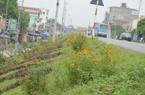Tuyến đê kiểu mẫu "vạn người mê" ở Đan Phượng (Hà Nội) có gì đặc biệt?