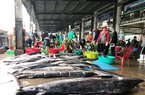 Khai thác thủy sản Khánh Hòa đạt hơn 36,8 ngàn tấn
