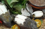 Kỳ lạ với loài cá hiếm được ví von là “gà đại dương”, ăn vào thì ngon thơm, bổ dưỡng
