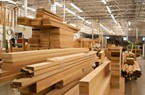 Xuất khẩu gỗ và sản phẩm gỗ của Việt Nam tăng rất mạnh dù Trung Quốc giảm nhập
