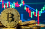 Cơn bĩ cực của tiền mã hóa
