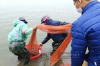 Tâm tư, kiến nghị gửi Thủ tướng: Giám đốc hợp tác xã mong được thuê đất lâu dài để yên tâm sản xuất