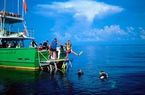 Điểm đến du lịch gây xôn xao với phát hiện mới về “Chén Thánh” từ đại dương