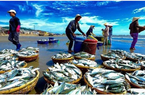 Các nước thành viên RCEP chiếm trên 63% thị phần xuất khẩu thủy sản của Việt Nam
