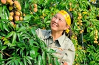 Mỹ, Trung Quốc, Nhật Bản gom lượng lớn, 9 loại nông sản của Việt Nam tăng ngay giá xuất khẩu