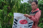 Cà phê bị vàng lá, rụng trái sau bón phân NPK hiệu KVF Hàn Việt, lực lượng chức năng Lâm Đồng đang điều tra