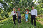 Quảng Nam: Được Agribank tiếp vốn, nông dân vững tin làm du lịch sinh thái