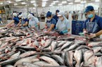 Thắng lớn ở thị trường Mỹ và Trung Quốc, ngành thủy sản mang về hơn 1 tỷ USD trong tháng 4