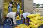 Tham tán thương mại chỉ cách xuất gạo qua Lào, Trung Quốc