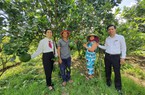 Được vay vốn, nông dân Quảng Nam vững tin làm du lịch sinh thái, lãi hơn 300 triệu đồng/năm