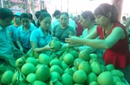 Thừa Thiên Huế phê duyệt đề án trồng mới 1.000ha cây ăn quả 