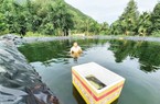 Đào ao lót bạt nuôi cá đặc sản ví như "nhân sâm nước", bắt con to bự, trai làng TT-Huế bán 400-500.000 đồng/kg