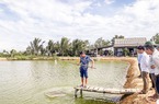 Cách nuôi tôm sú trong ao đất ở Quảng Trị kiểu gì mà nông dân lời hàng trăm triệu, nhiều người đến xem?